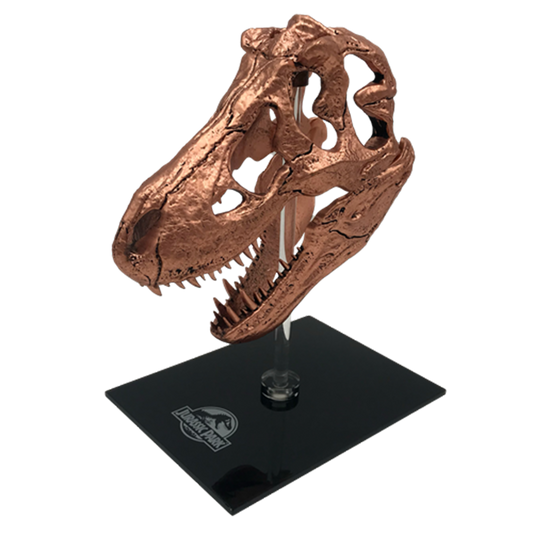 Jurassic Park T-Rex Skull Scaled Prop Replica