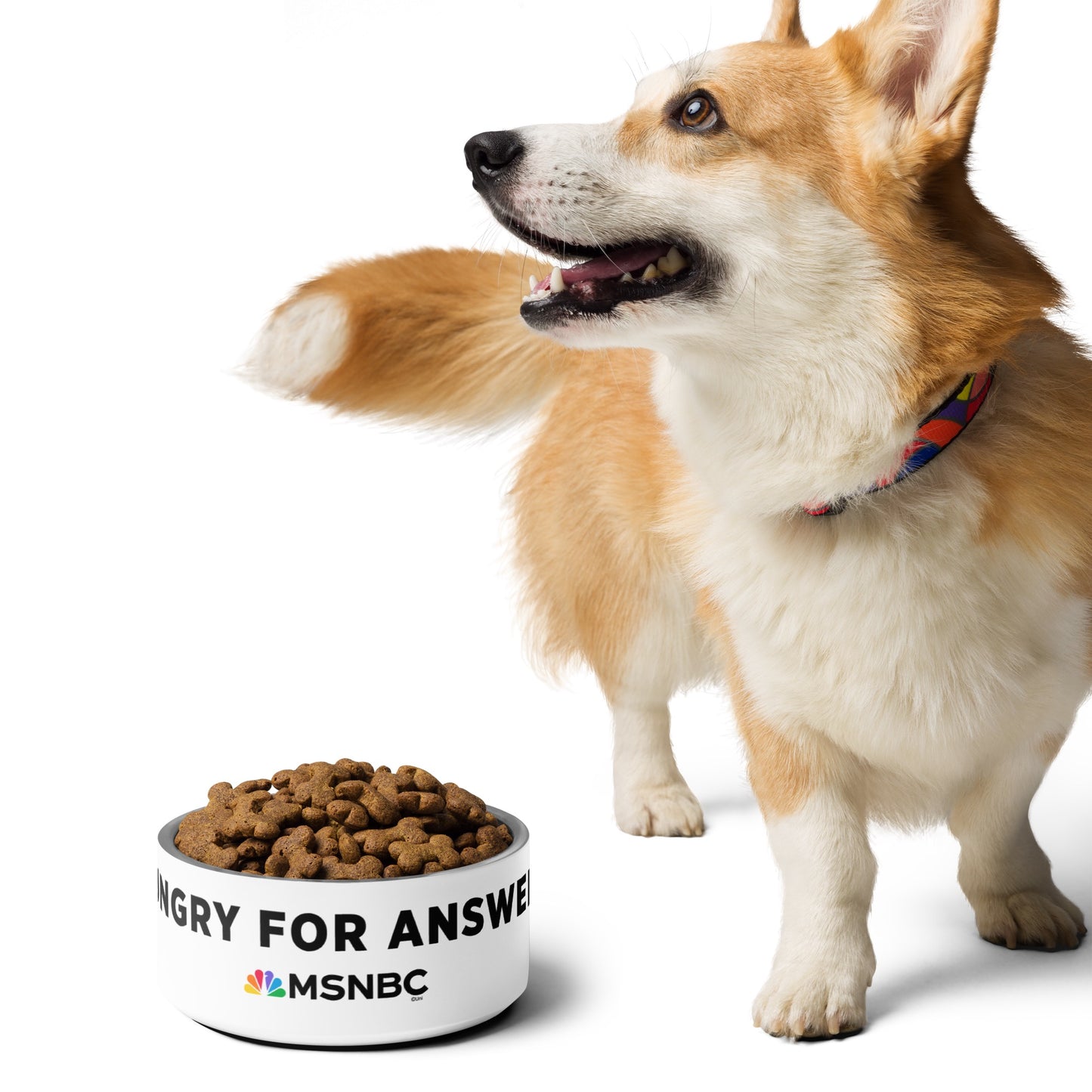 MSNBC Hungry For Answers Pet Bowl