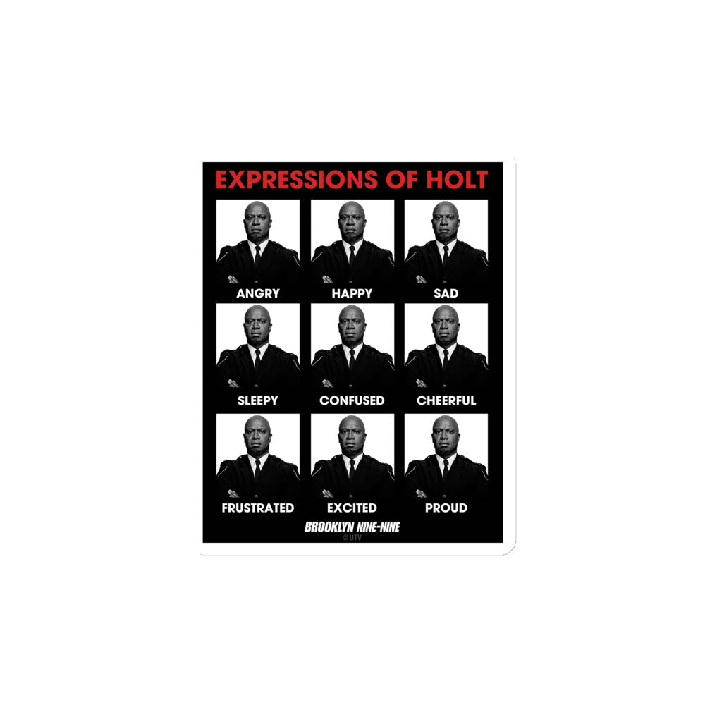 Brooklyn Nine-Nine Expressions of Holt Magnet