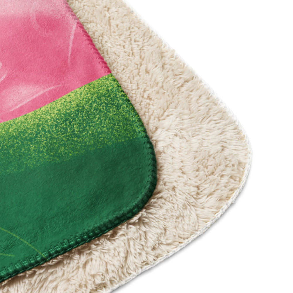 Wicked Elphaba Glinda Sherpa Blanket