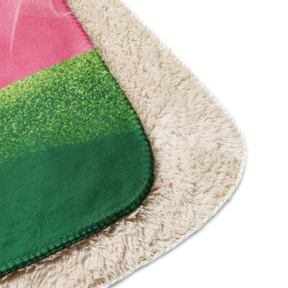 Wicked Elphaba Glinda Sherpa Blanket